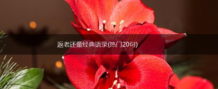返老还童经典语录(热门20句),第1张