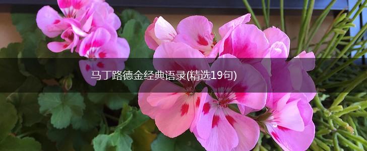 马丁路德金经典语录(精选19句),第1张