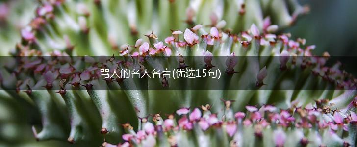 骂人的名人名言(优选15句),第1张