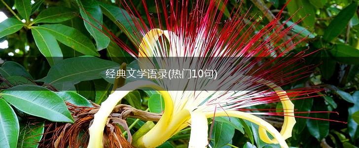 经典文学语录(热门10句),第1张