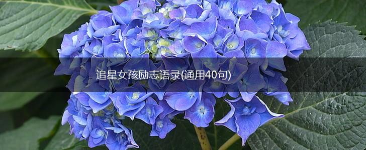 追星女孩励志语录(通用40句),第1张
