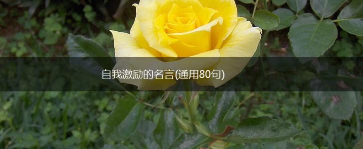 自我激励的名言(通用80句),第1张 自我激励的名言(通用80句),第1张