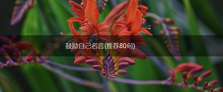 鼓励自己名言(推荐80句),第1张