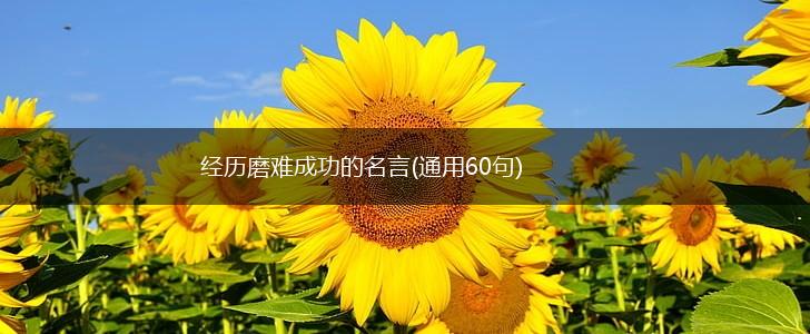 经历磨难成功的名言(通用60句),第1张