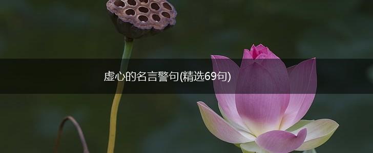 虚心的名言警句(精选69句),第1张