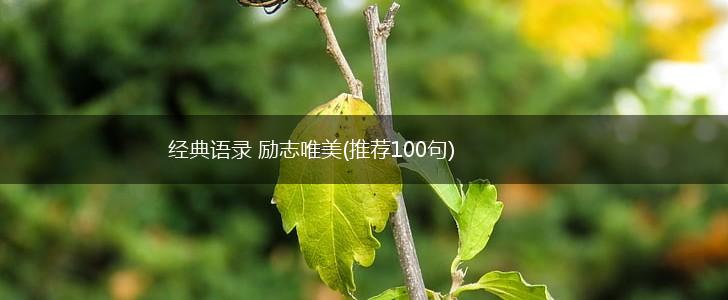 经典语录 励志唯美(推荐100句),第1张