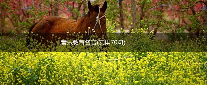 音乐教育名言(实用70句),第1张