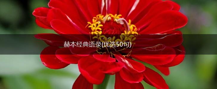 赫本经典语录(优选50句),第1张
