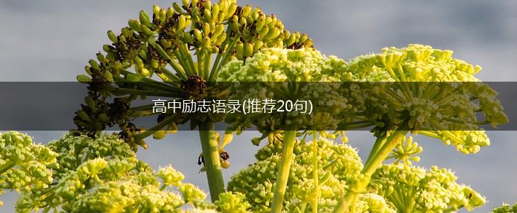 高中励志语录(推荐20句),第1张