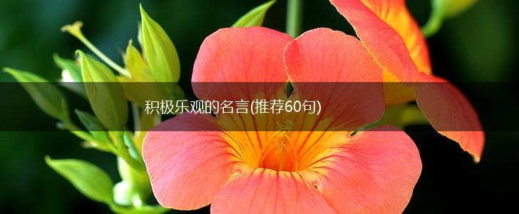 积极乐观的名言(推荐60句),第1张