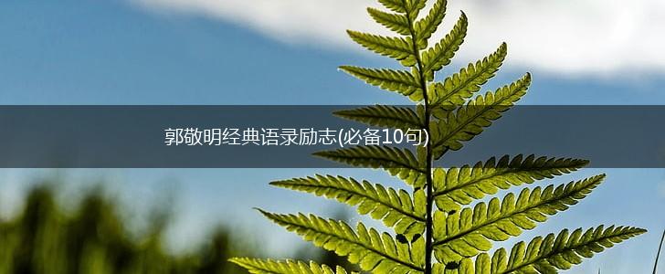 郭敬明经典语录励志(必备10句),第1张