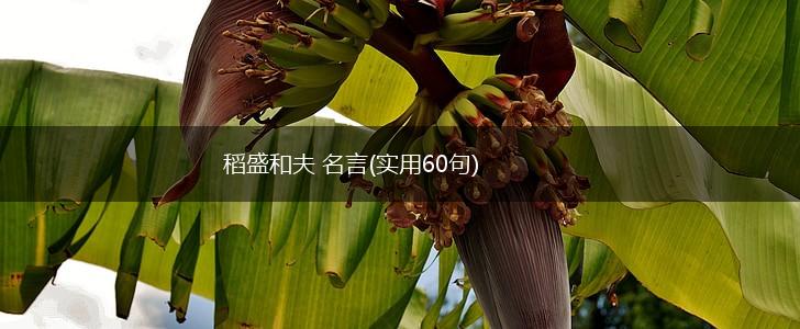 稻盛和夫 名言(实用60句),第1张 稻盛和夫 名言(实用60句),第1张