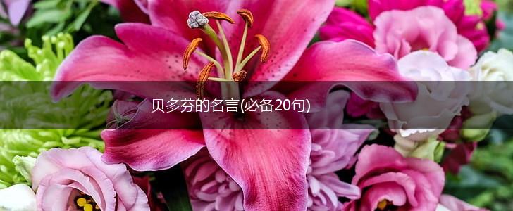 贝多芬的名言(必备20句),第1张