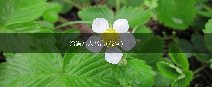 论语名人名言(72句),第1张 论语名人名言(72句),第1张