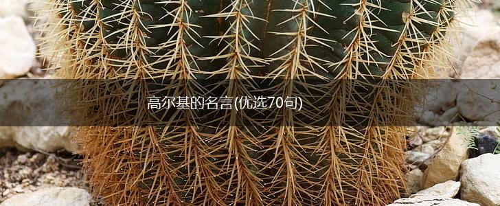 高尔基的名言(优选70句),第1张