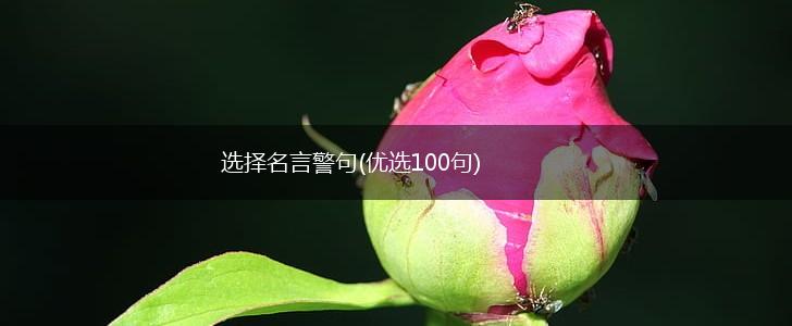 选择名言警句(优选100句),第1张