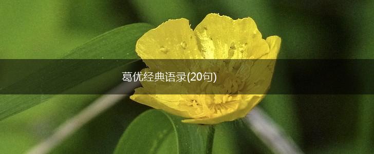 葛优经典语录(20句),第1张
