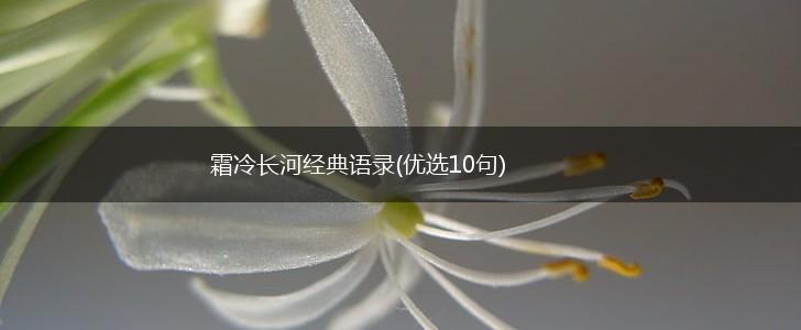 霜冷长河经典语录(优选10句),第1张