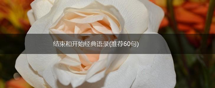 结束和开始经典语录(推荐60句),第1张