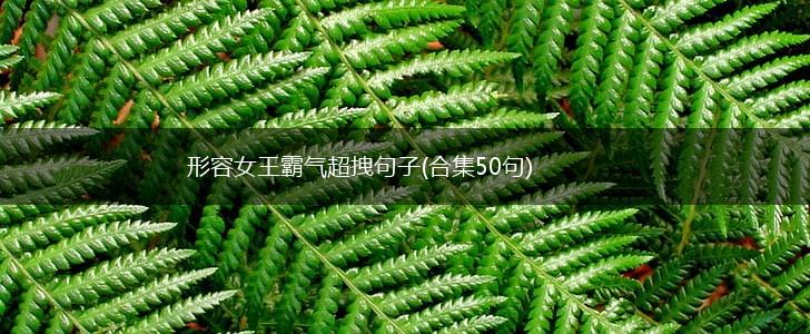 形容女王霸气超拽句子(合集50句),第1张