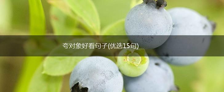 夸对象好看句子(优选15句),第1张