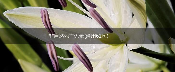 非自然死亡语录(通用61句),第1张