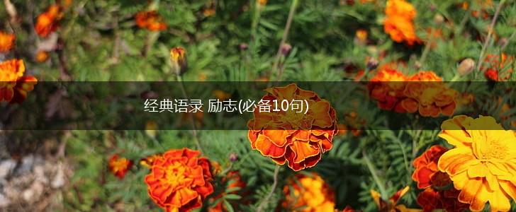 经典语录 励志(必备10句),第1张
