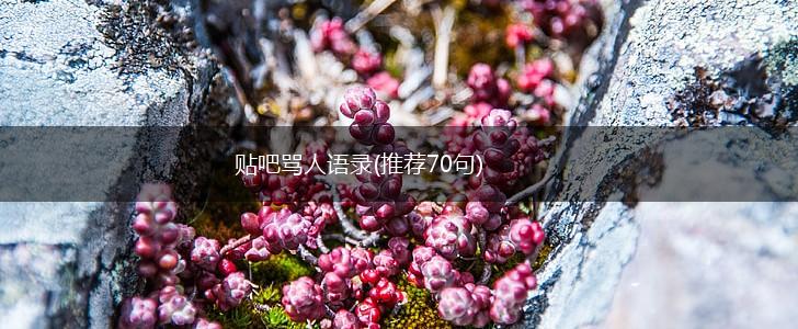 贴吧骂人语录(推荐70句),第1张