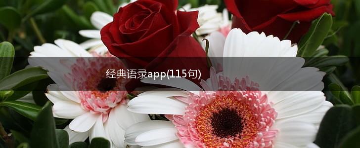 经典语录app(115句),第1张