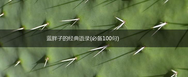 蓝胖子的经典语录(必备100句),第1张