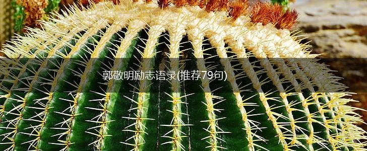 郭敬明励志语录(推荐79句),第1张