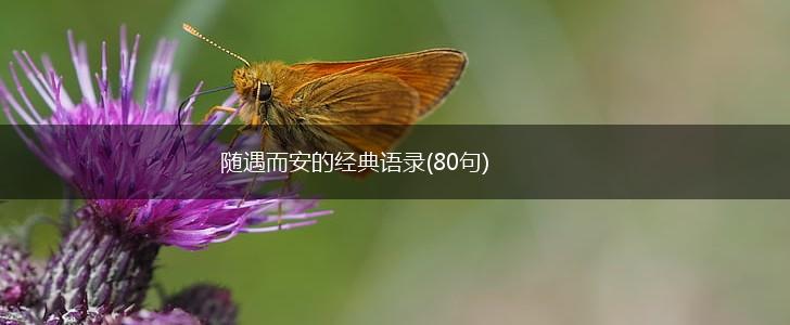 随遇而安的经典语录(80句),第1张