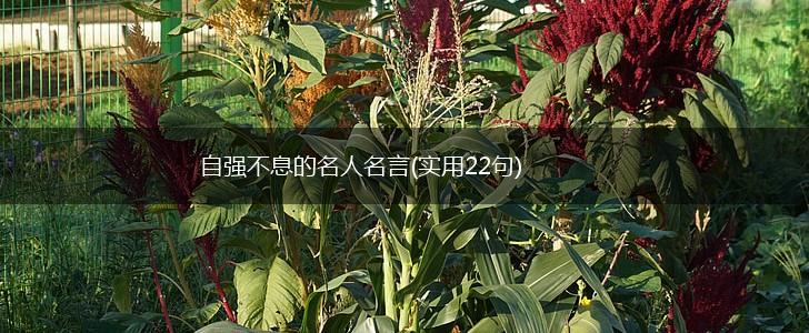 自强不息的名人名言(实用22句),第1张 自强不息的名人名言(实用22句),第1张