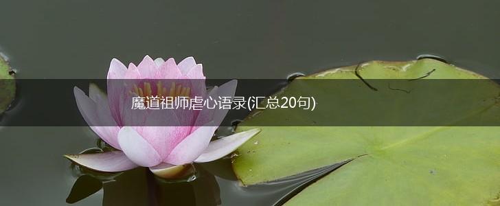 魔道祖师虐心语录(汇总20句),第1张