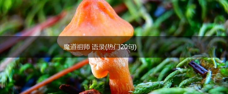 魔道祖师 语录(热门20句),第1张