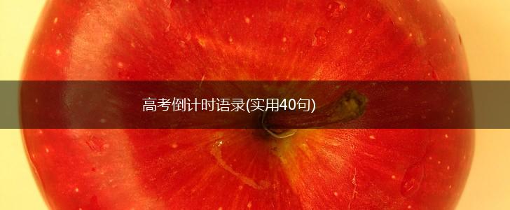 高考倒计时语录(实用40句),第1张