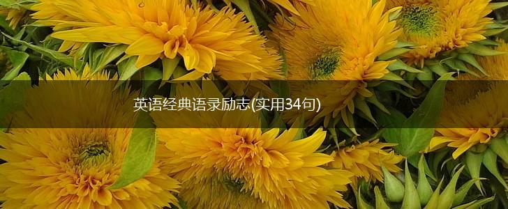 英语经典语录励志(实用34句),第1张
