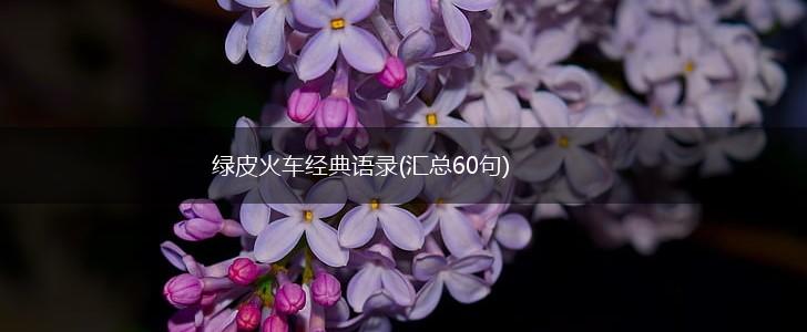 绿皮火车经典语录(汇总60句),第1张