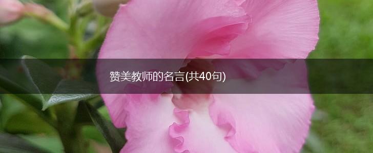 赞美教师的名言(共40句),第1张 赞美教师的名言(共40句),第1张