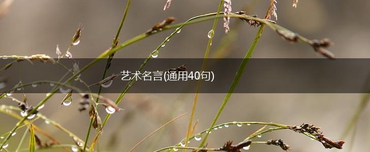 艺术名言(通用40句),第1张 艺术名言(通用40句),第1张