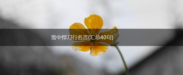 雪中悍刀行名言(汇总40句),第1张