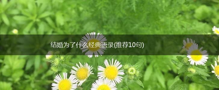 结婚为了什么经典语录(推荐10句),第1张