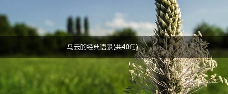 马云的经典语录(共40句),第1张