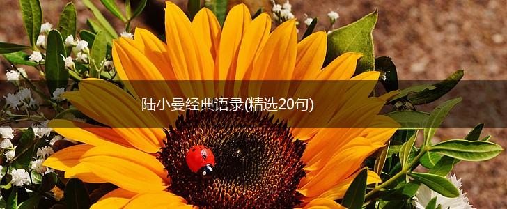 陆小曼经典语录(精选20句),第1张