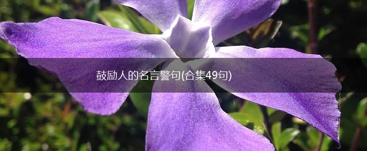 鼓励人的名言警句(合集49句),第1张 鼓励人的名言警句(合集49句),第1张