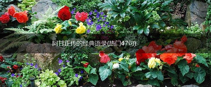 阿甘正传的经典语录(热门47句),第1张