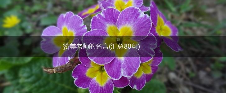 赞美老师的名言(汇总80句),第1张 赞美老师的名言(汇总80句),第1张