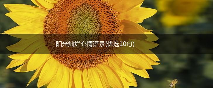 阳光灿烂心情语录(优选10句),第1张