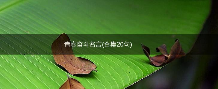 青春奋斗名言(合集20句),第1张