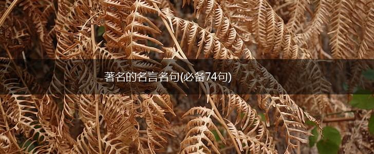 著名的名言名句(必备74句),第1张 著名的名言名句(必备74句),第1张